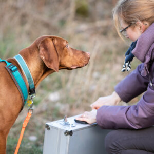 Workshop „Beuteljagd mit Knobelaufgaben“ am 16.08.25, 14.30 Uhr