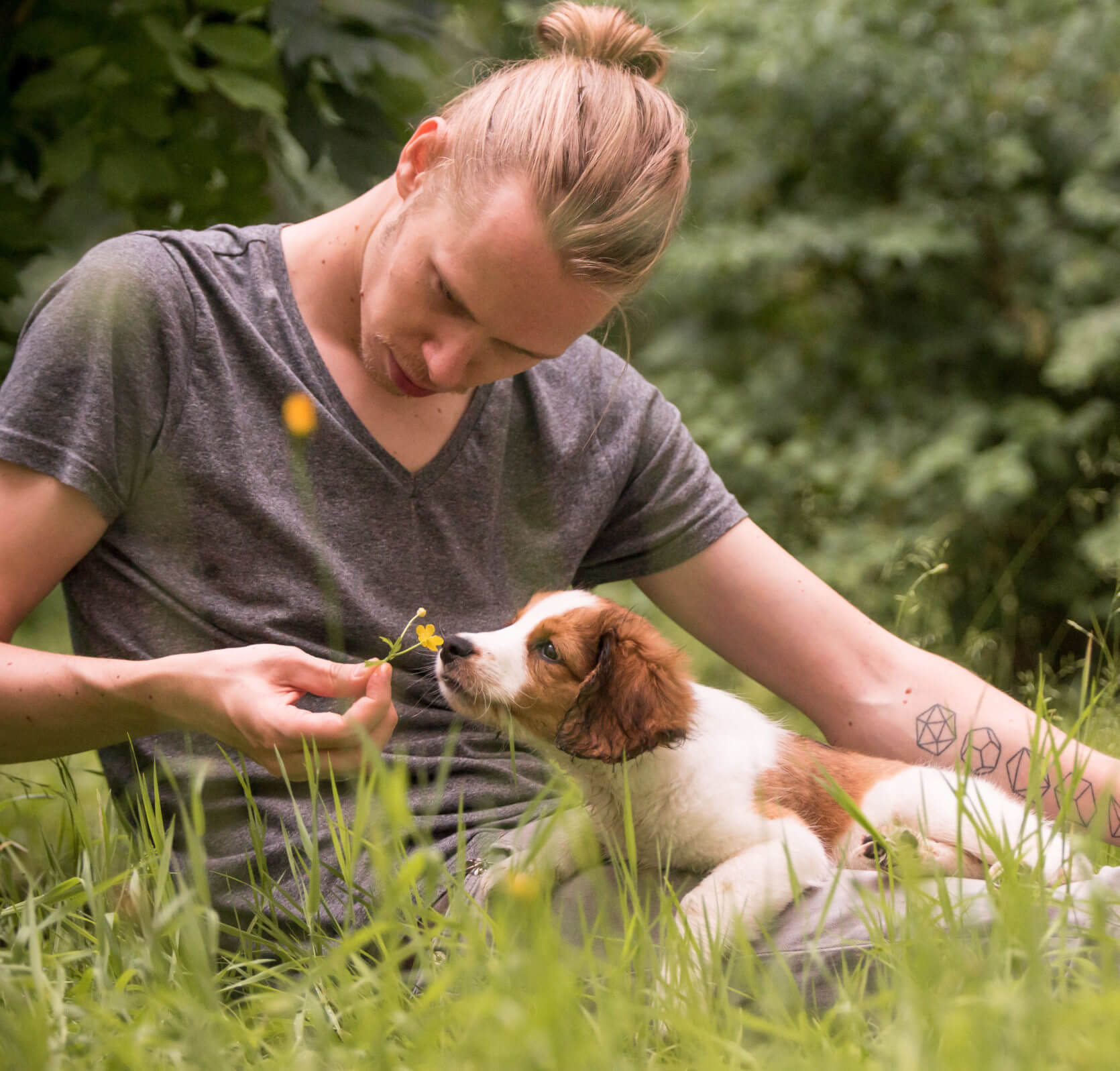 Natural Dogmanship | Kompass Hund | Hundetraining Hannover, Barsinghausen & Umgebung