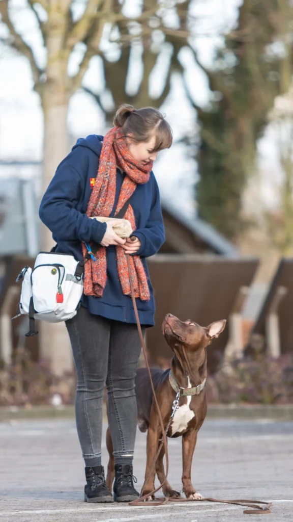 Frau mit Hund beim Spaziergang in Hamburg.