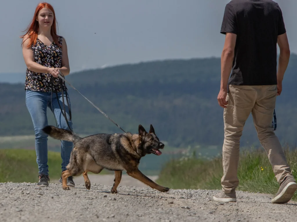 Junge Frau mit Hund an der Leine auf einem Weg