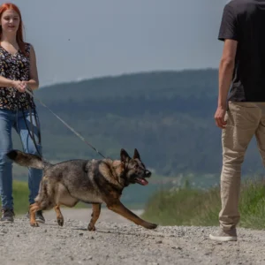 Junge Frau mit Hund an der Leine auf einem Weg