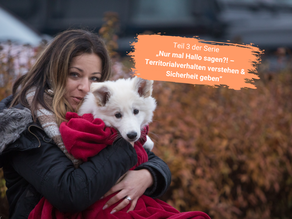 Welpe auf dem Schoß | Kompass Hund | Deine Hundeschule Hannover, Barsinghausen & Umgebung