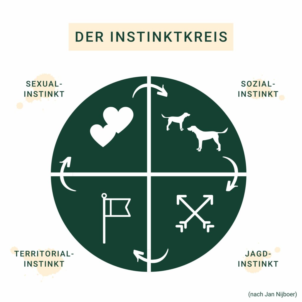 Der Instinktkreis | Kompass Hund | Hundetraining Hannover, Barsinghausen & Umgebung