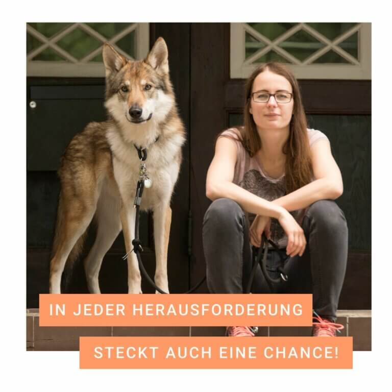 In jeder Herausforderung steckt auch eine Chance | Kompass Hund | Deine Hundeschule in Hannover, Barsinghausen & Umgebung