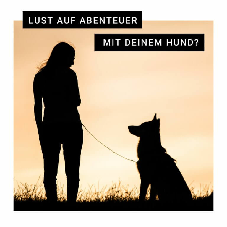 Lust auf Abenteuer mit deinem Hund | Kompass Hund | Deine Hundeschule in Hannover, Barsinghausen & Umgebung