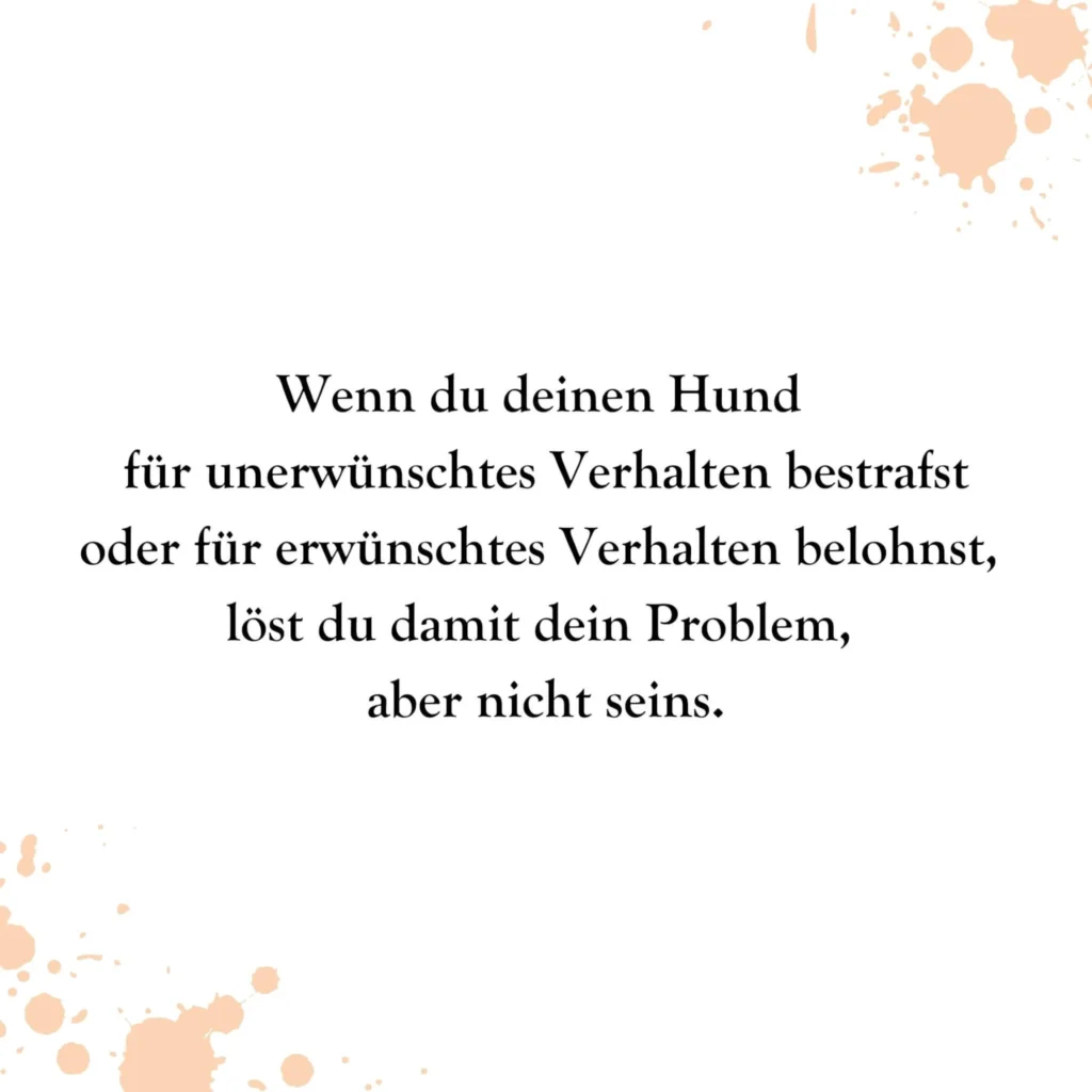 Zitat über Belohnung und Bestrafung im Hundetraining