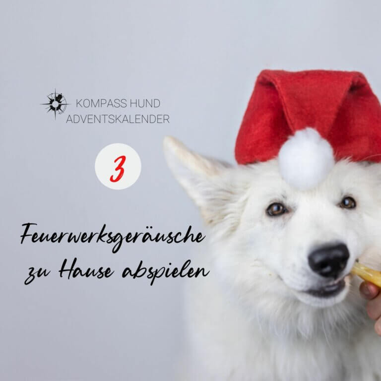 Feuerwerksgeräusche zu Hause abspielen | Kompass Hund | Hundetraining Hannover, Barsinghausen und Umgebung