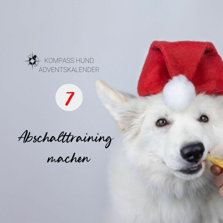 Abschalttraining machen | Kompass Hund | Hundetraining Hannover, Barsinghausen und Umgebung