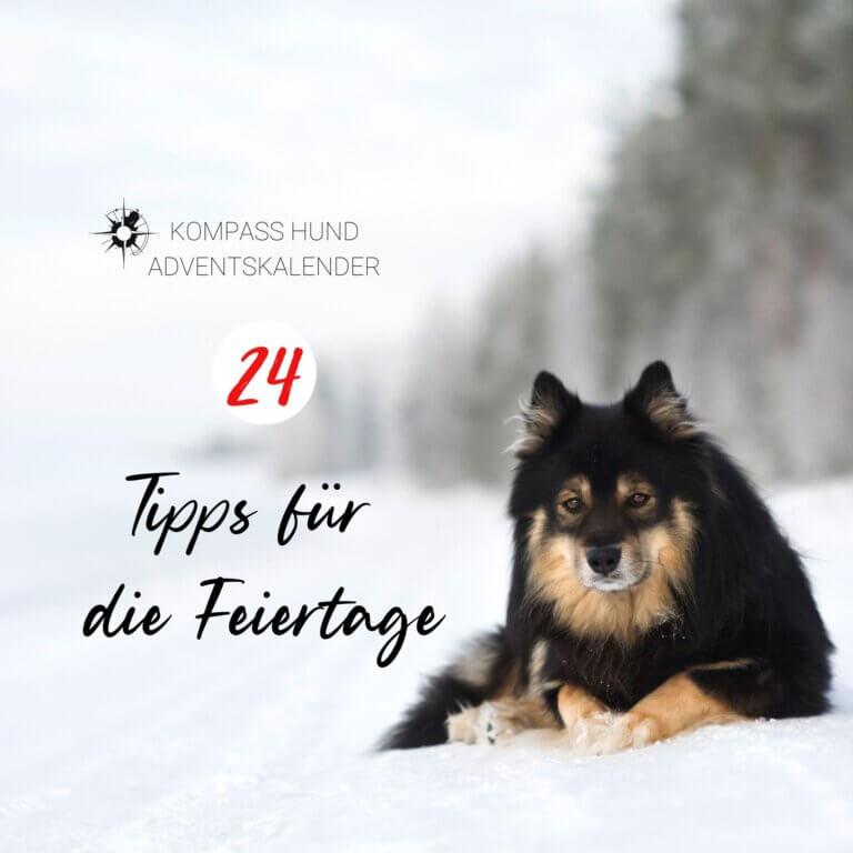 Adventskalender Hund | Kompass Hund | Deine Hundeschule Hamburg, Hannover und online