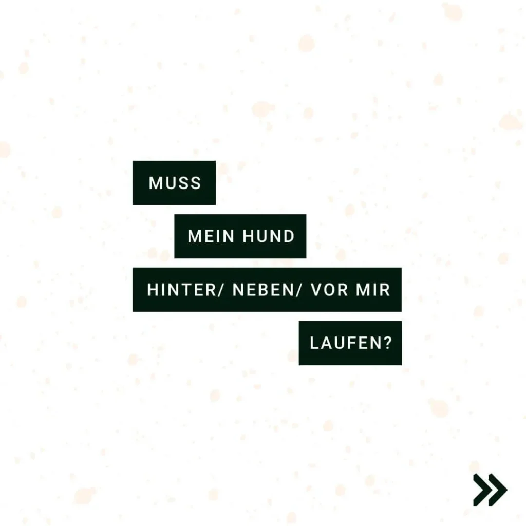 Fragen zur Position des Hundes beim Laufen.