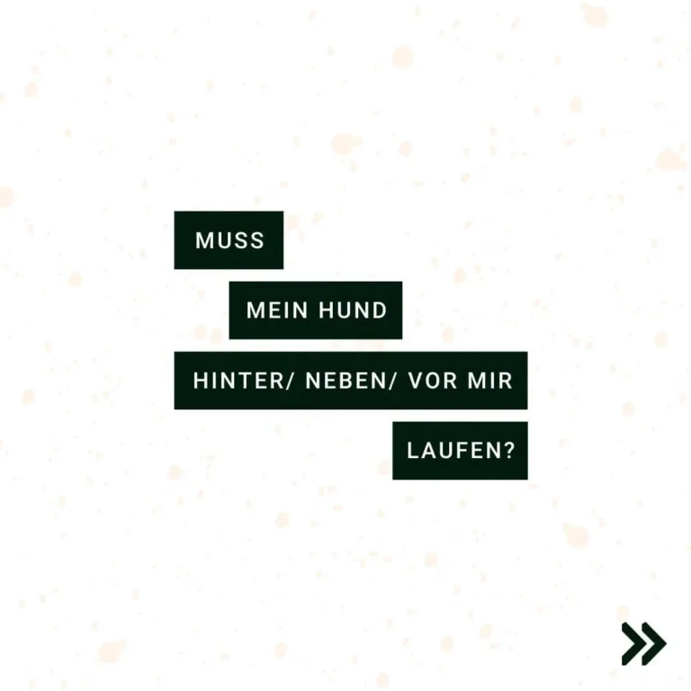 Fragen zur Position des Hundes beim Laufen.