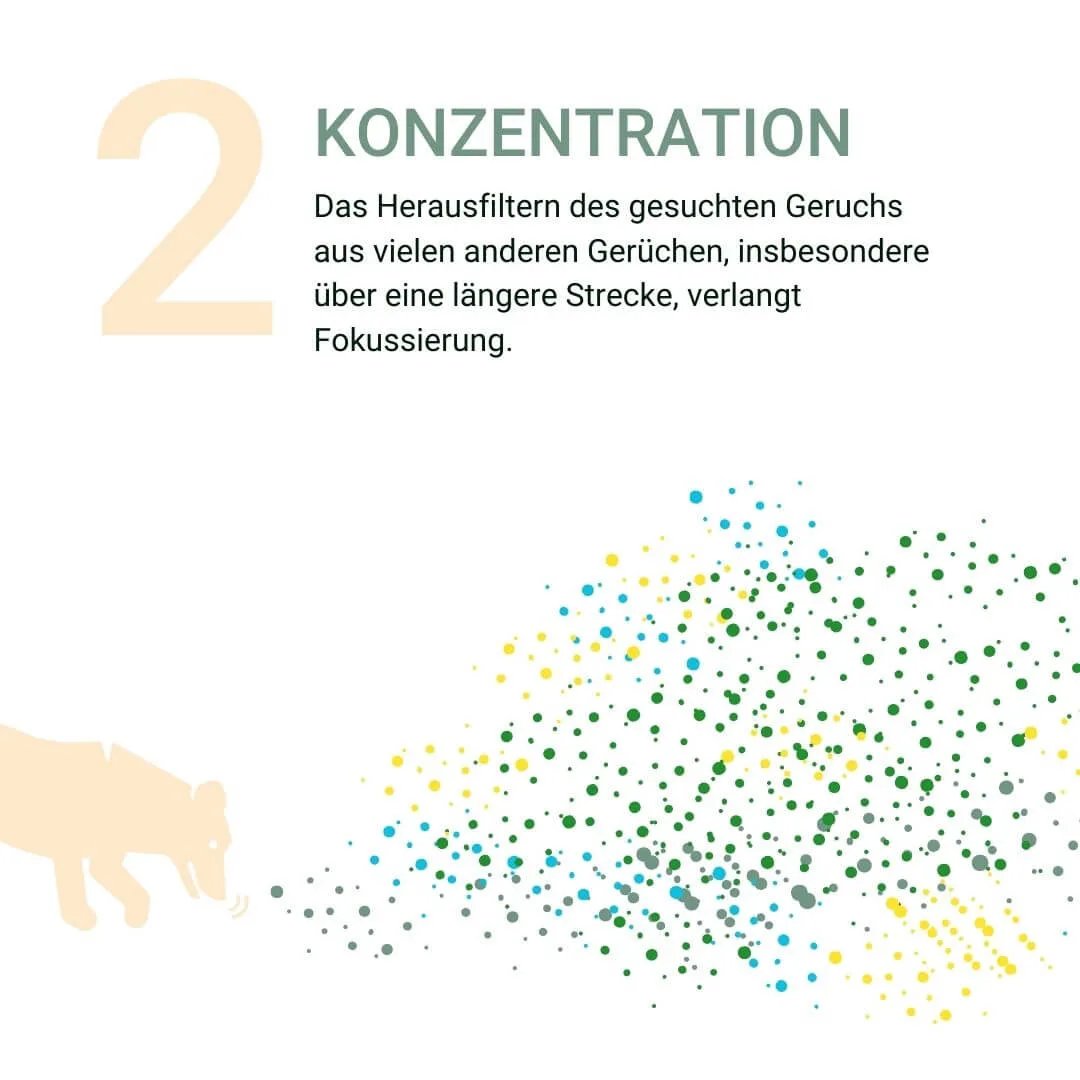 Illustration eines Hundes, der Gerüche mit Farben und Punkten wahrnimmt.