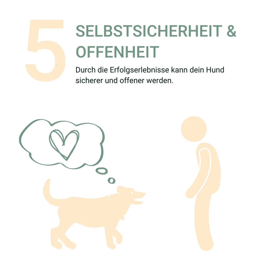 Ein Hund und eine Person, der Hund denkt an ein Herz.