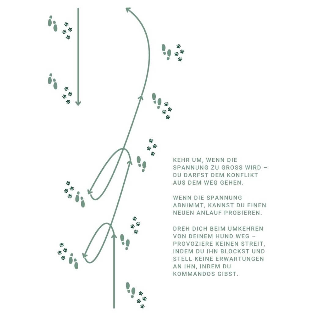 3 Tipps für gelassene Hundebegegnungen an der Leine | Hundeschule Hamburg | Hundeschule Hannover | Kompass Hund