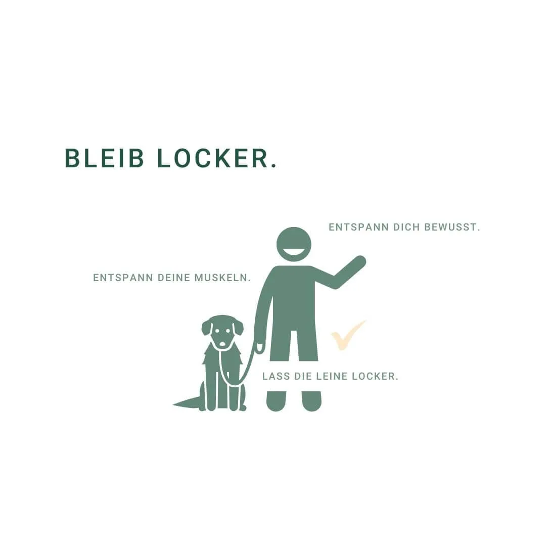 Illustration eines Menschen und Hundes mit Tipps zur Entspannung bei Hundebegegnungen.