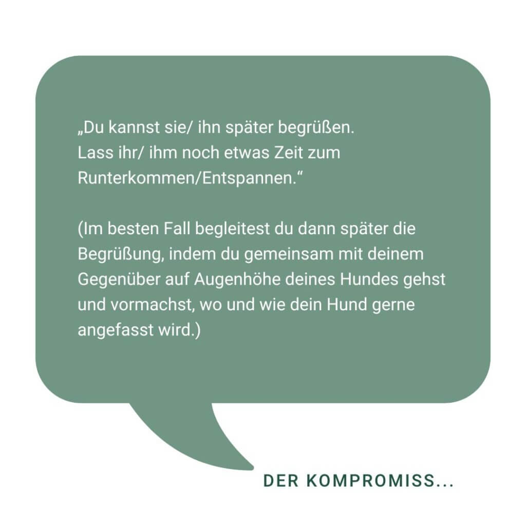 Unsere top 3 Antworten, wenn fremde Menschen deinen Hund bedrängen