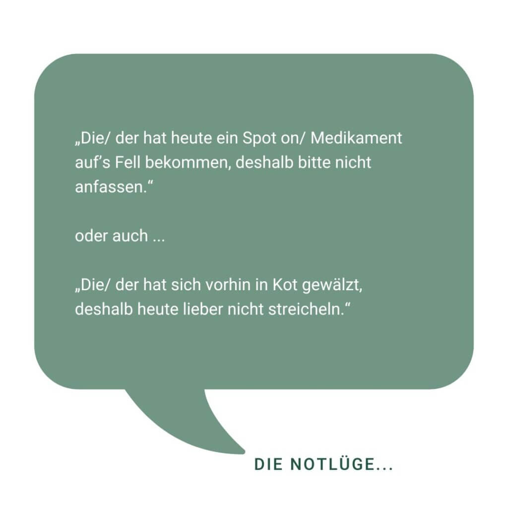 Unsere top 3 Antworten, wenn fremde Menschen deinen Hund bedrängen