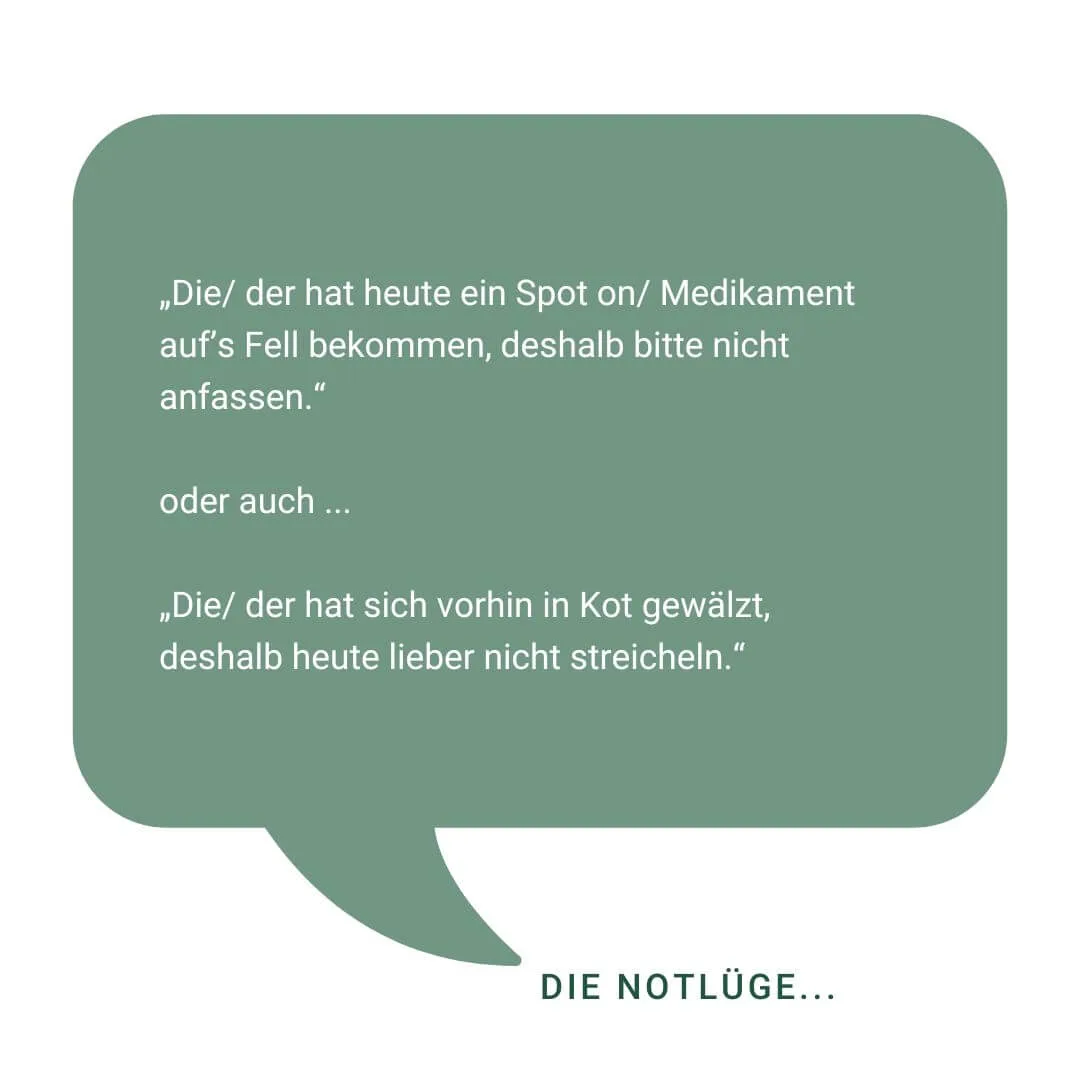 Zwei humorvolle Ausreden, um Hunde nicht anzufassen.