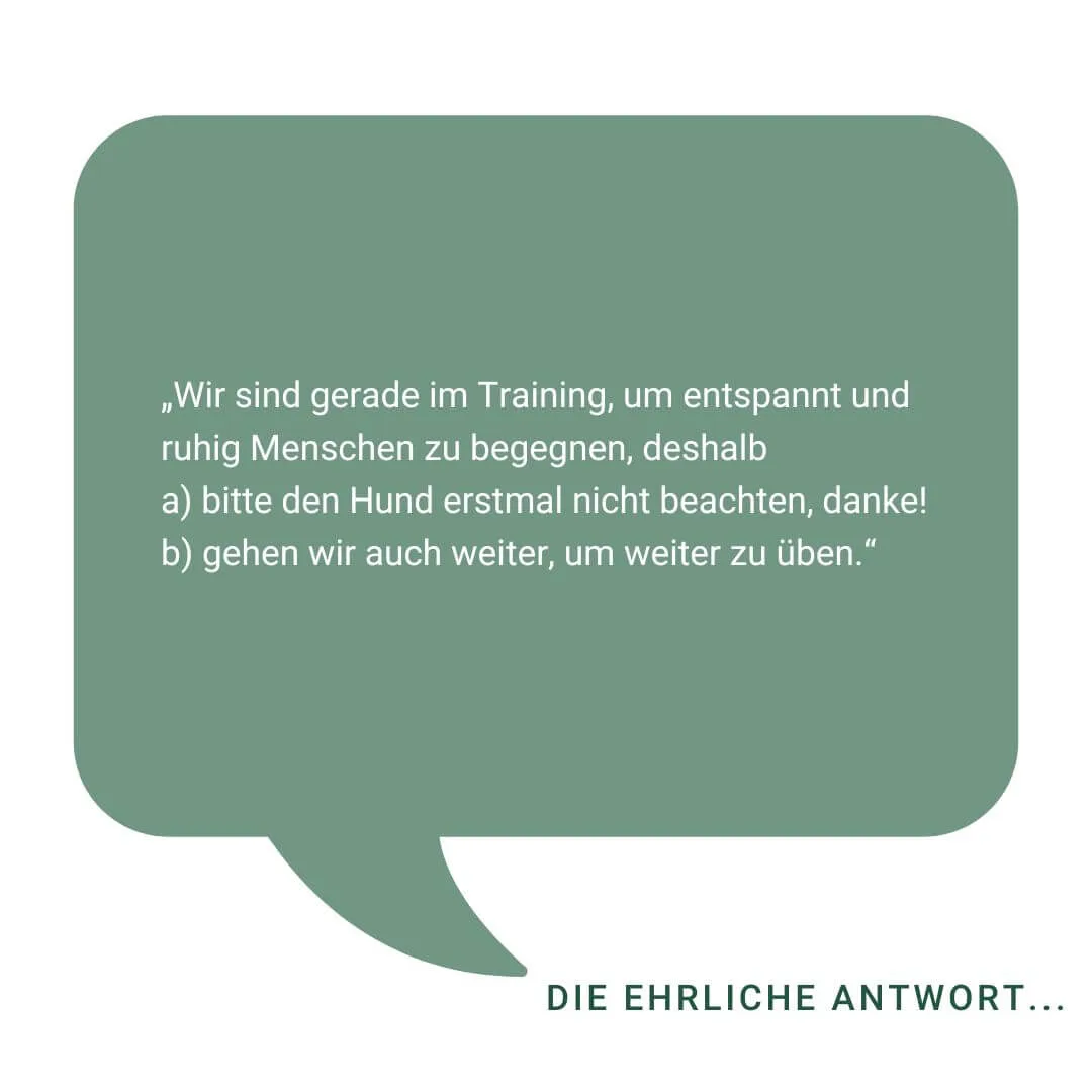 Antworten für Hundebesitzer, wenn andere Menschen ihre Hunde bedrängen.
