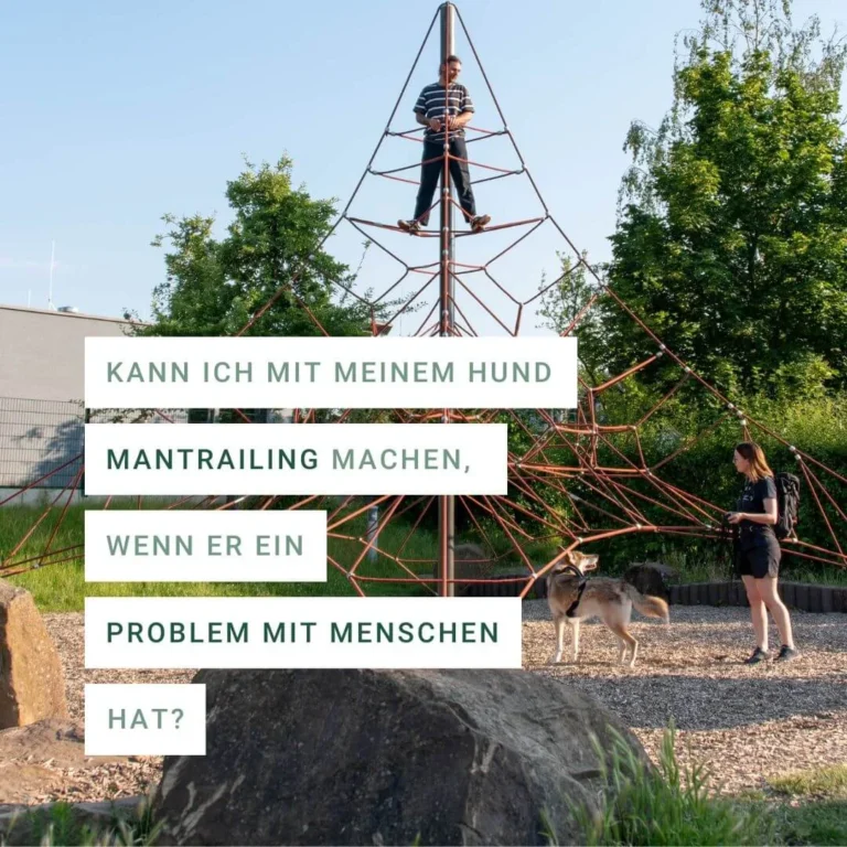 Junge steht auf einem Spielplatz-Klettergerüst mit einem Hund und einer Frau.