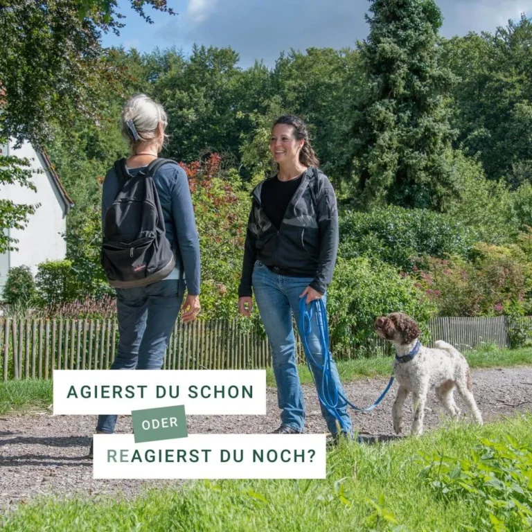 Zwei Frauen im Gespräch während eines Spaziergangs mit einem Hund.