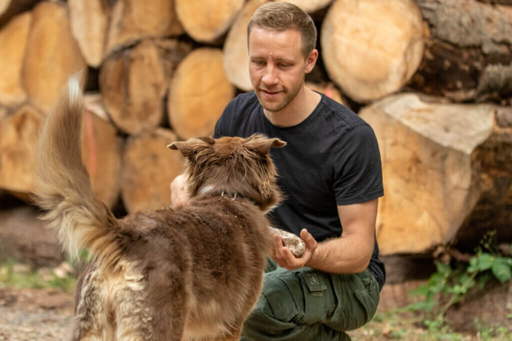 Team Check | Kompass Hund