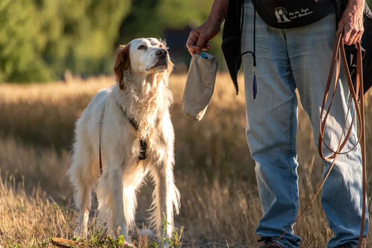Ein Hund steht neben einem Menschen, der ein Leckerli hält.