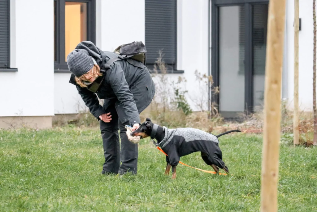 Hund und Besitzer beim Spielen draußen in Hamburg.