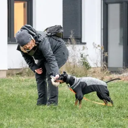 Kundenstimme von Dani mit Enno | Kompass Hund | Deine Hundeschule in Hamburg