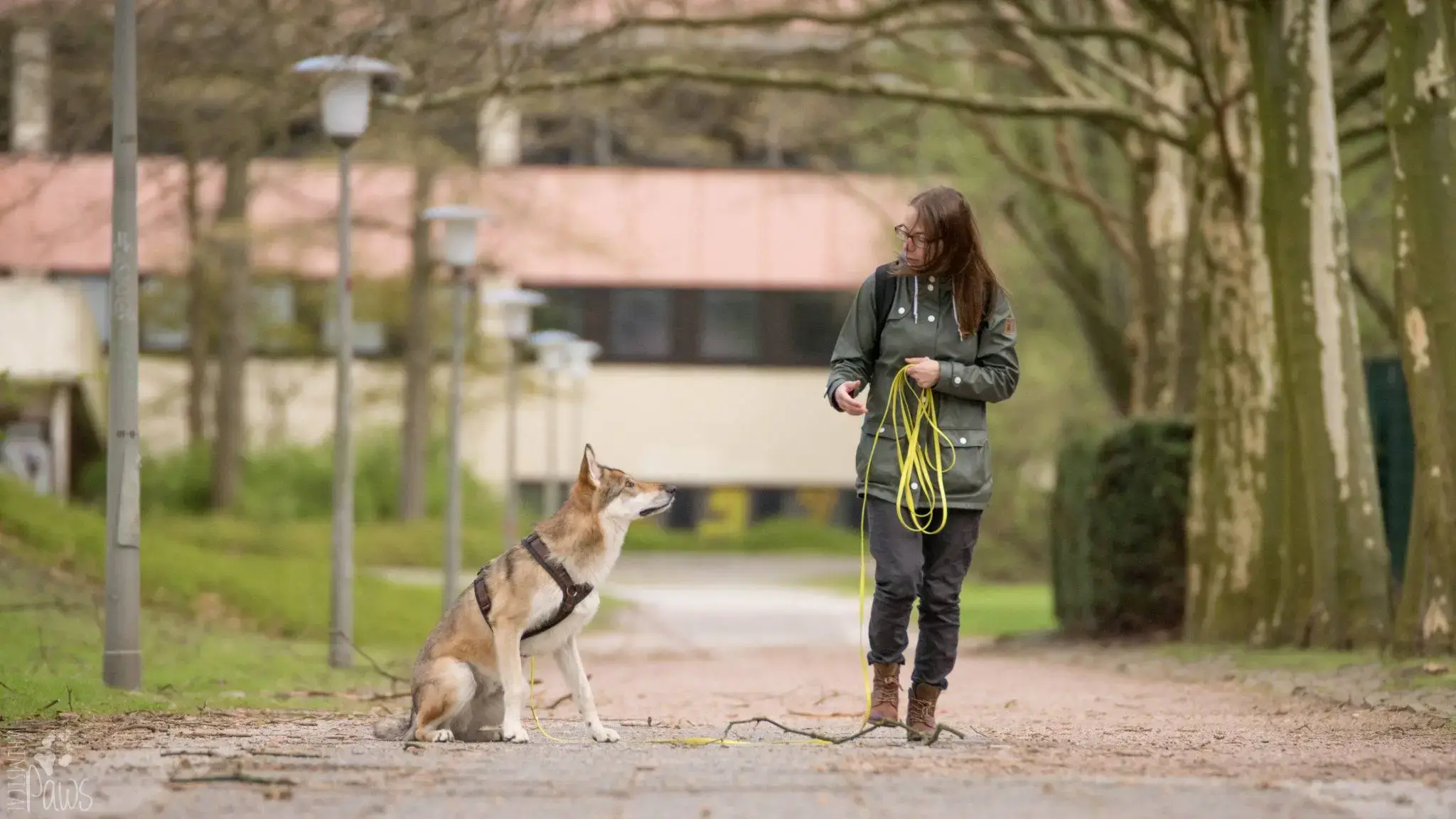 Frau mit Hund im Park während des Trainings