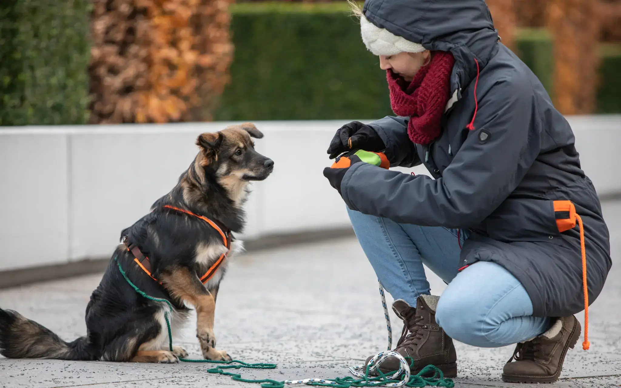 Hundetraining mit Hund und Besitzerin im Freien