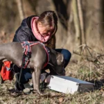 Frau mit Hund untersucht einen Futterbeutel im Wald.