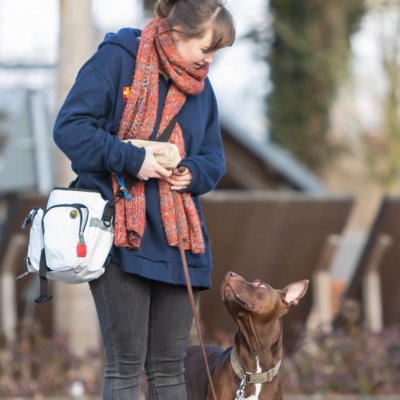 Natural Dogmanship | Kompass Hund | Deine Hundeschule Hannover, Barsinghausen und Umgebung