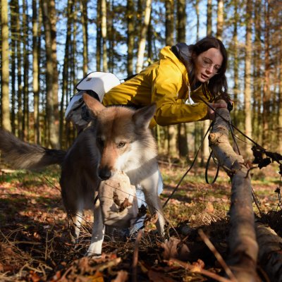 Natural Dogmanship | Kompass Hund | Deine Hundeschule Hannover, Barsinghausen und Umgebung