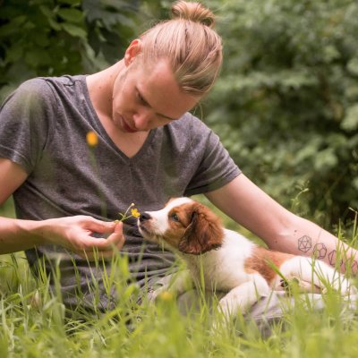 Natural Dogmanship | Kompass Hund | Hundetraining Hannover, Barsinghausen & Umgebung