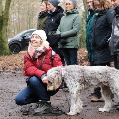 Alltagstraining | Kompass Hund | Deine Hundeschule in Hamburg, Hannover und online