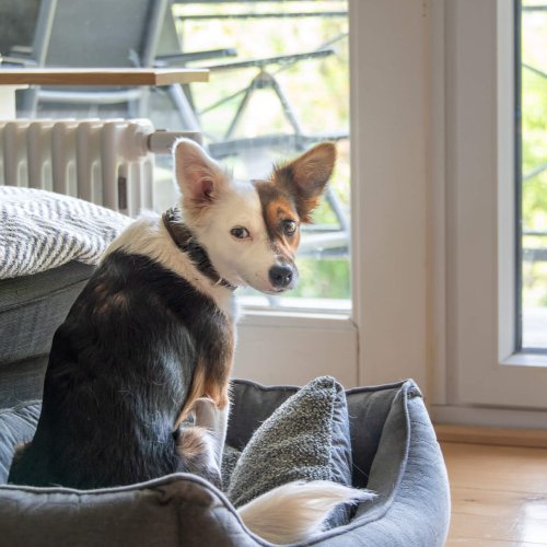 COPYRIGHT: SARAH FEIST