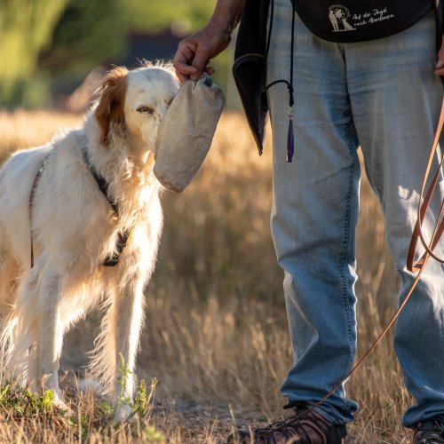 Futterbeutel Jagdabenteuer | Kompass Hund | Deine Hundeschule in Hamburg, Hannover und online