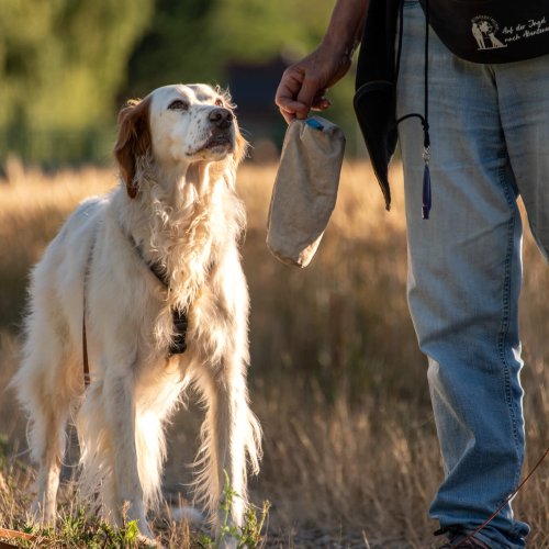 Futterbeutel Jagdabenteuer | Kompass Hund | Deine Hundeschule in Hamburg, Hannover und online