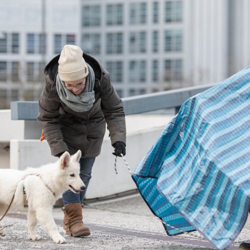 Welpen Erziehungsgruppe | Kompass Hund | Deine Hundeschule in Hannover, Barsinghausen & Umgebung