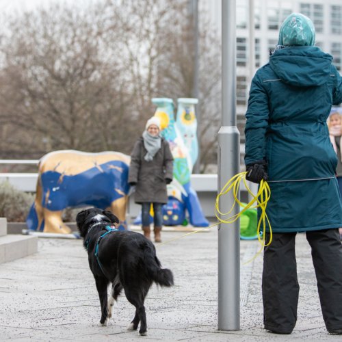 Entspannt Menschen begegnen | Kompass Hund | Hundetraining Hannover, Barsinghausen und Umgebung